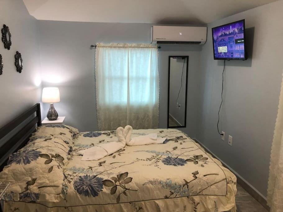 New Luxurious Studio Private In The Heart Of Miami Exterior foto